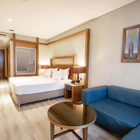 Dedeman Convention Center Hotel 5*