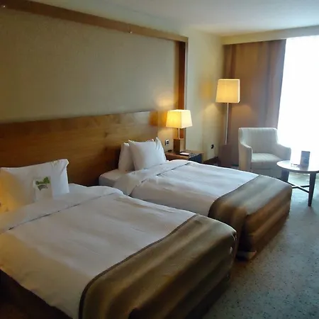 Dedeman Convention Center 5*